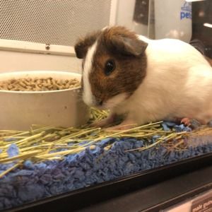 Meet your Posher, Marina